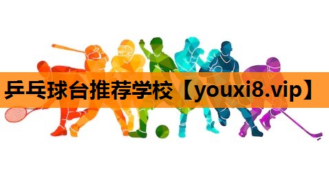 乒乓球台推荐学校