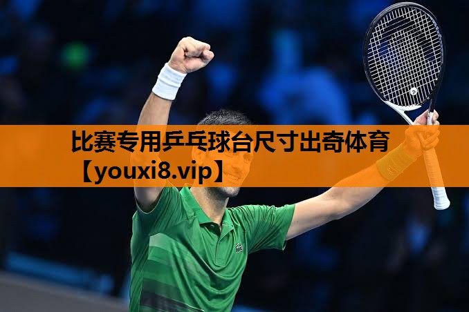 比赛专用乒乓球台尺寸出奇体育