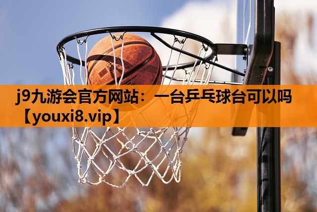 一台乒乓球台可以吗
