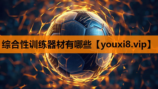 综合性训练器材有哪些