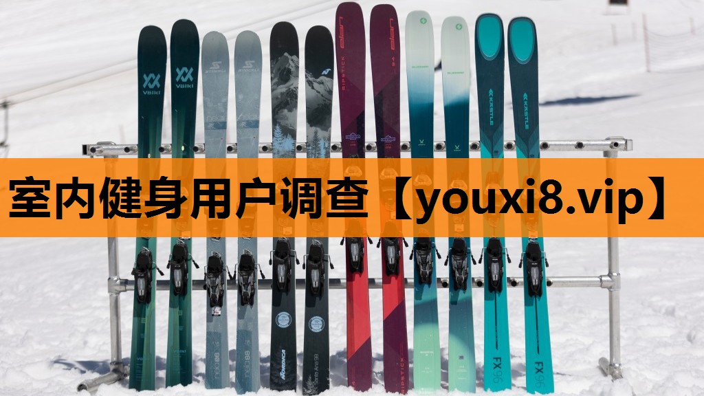 室内健身用户调查