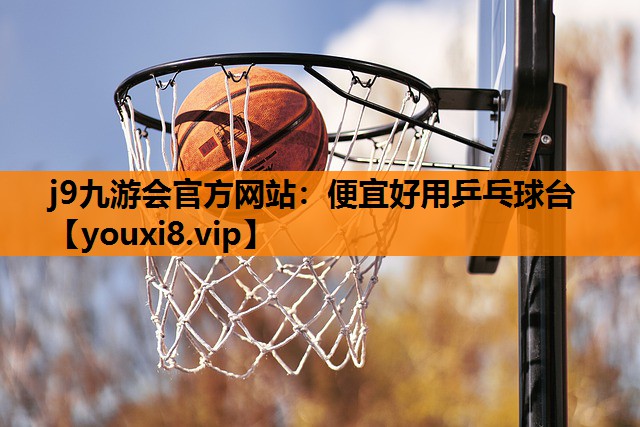 便宜好用乒乓球台