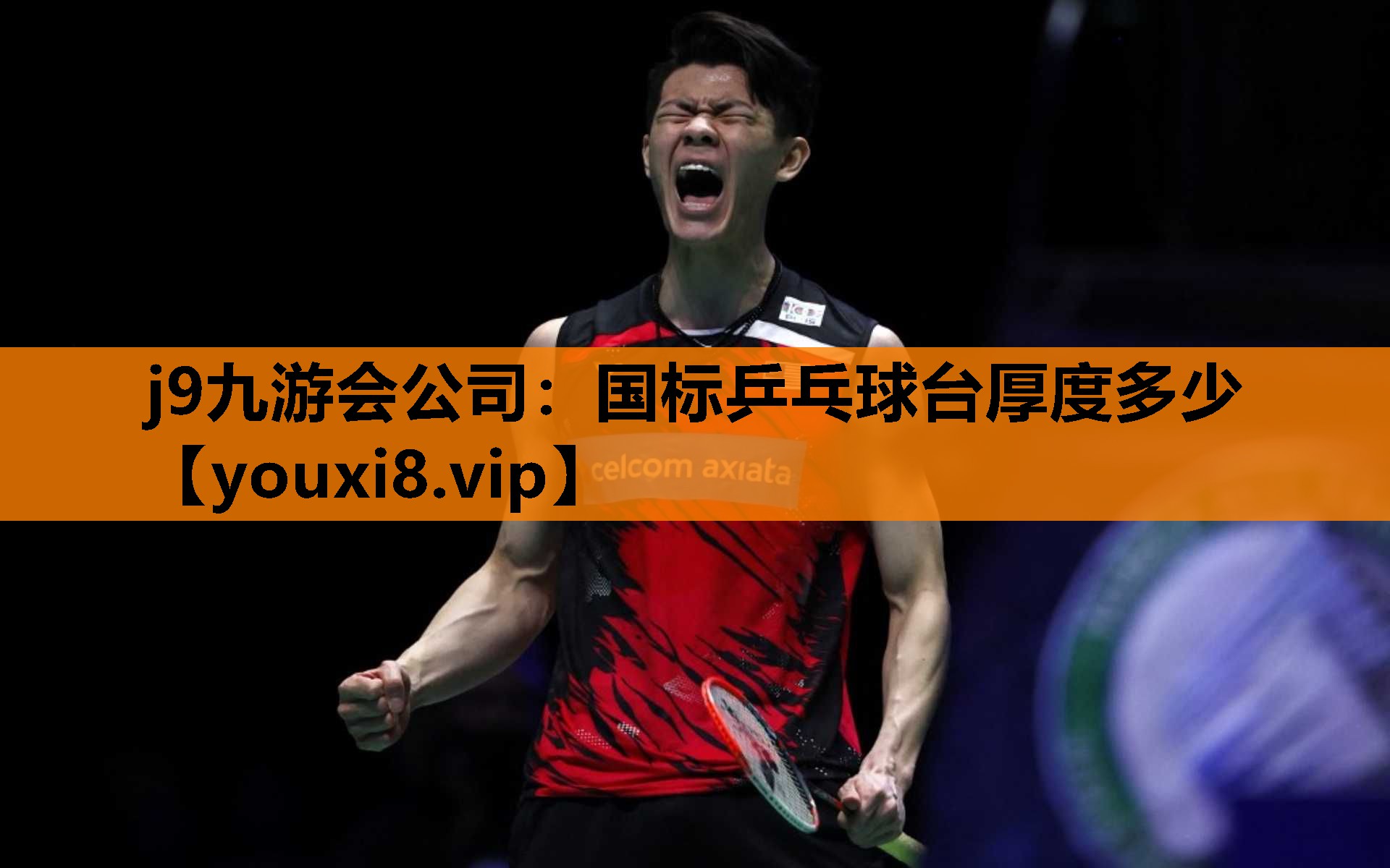 国标乒乓球台厚度多少