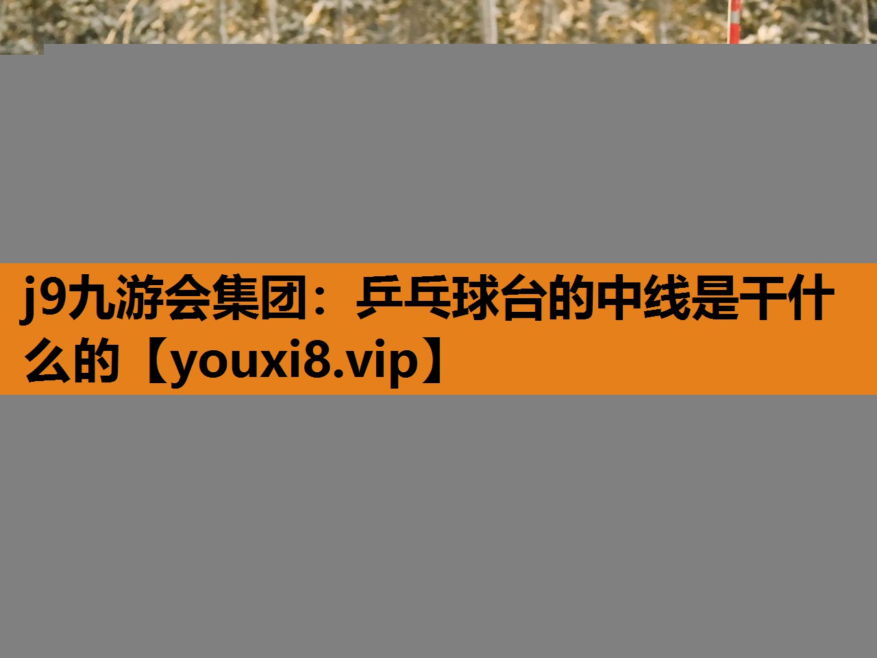 乒乓球台的中线是干什么的